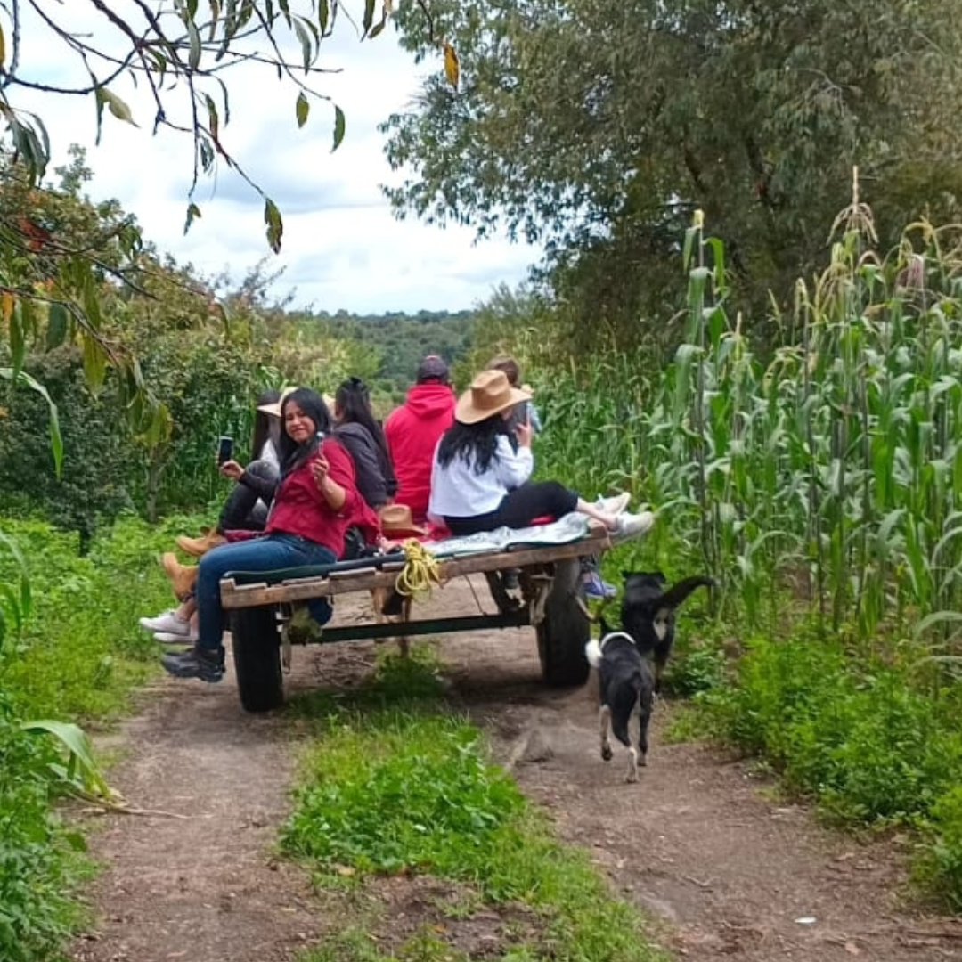 Visitantes en carreta recorriendo los campos de Calpan