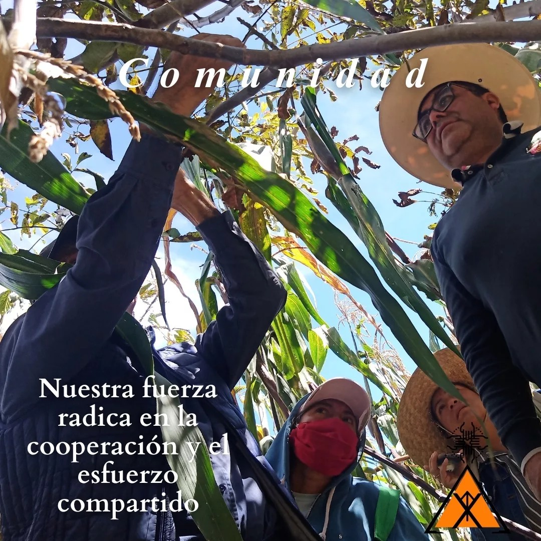 Miembros de la comunidad de Calpan compartiendo sus tradiciones